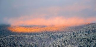 Magické európske destinácie, v ktorých zažiješ rozprávkovú zimu kam cestovat v zime