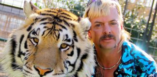 Mačkovité šelmy, zbrane a úkladná vražda tiger king